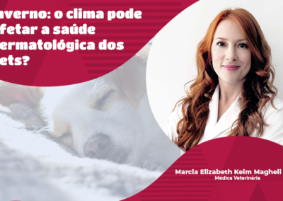 Inverno: o clima pode afetar a saúde dermatológica dos pets?