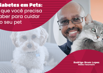 Diabetes em Pets: Sinais, Tratamentos e Cuidados Essenciais para Cães e Gatos