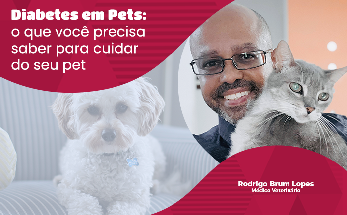 Diabetes em Pets: Sinais, Tratamentos e Cuidados Essenciais para Cães e Gatos