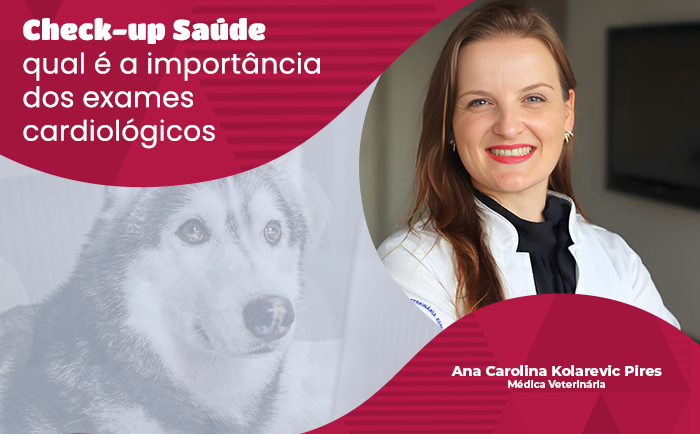 Saúde: saiba qual é a importância dos exames cardiológicos no check-up dos pets