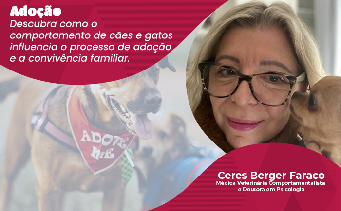 Como o comportamento animal pode interferir positivamente ou negativamente nos processos de adoção