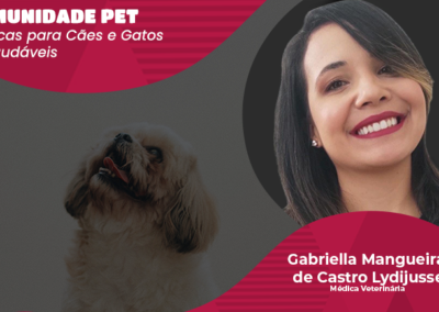 Saúde: saiba o que pode alterar a imunidade dos pets e como mantê-la regular