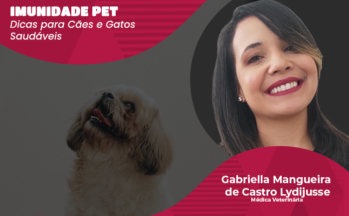 Saúde: saiba o que pode alterar a imunidade dos pets e como mantê-la regular