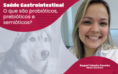 Probióticos, Prebióticos e Simbióticos para Pets: Saúde Intestinal em Foco