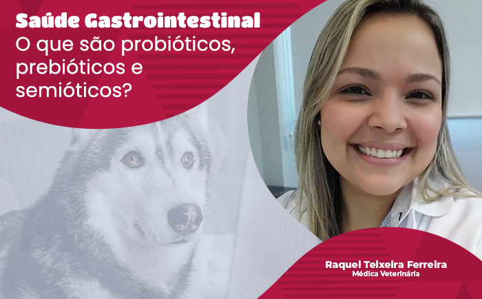 Saúde: O que são probióticos, prebióticos e semióticos e como eles podem ajudar a melhorar a saúde gastrointestinal dos cães e gatos?