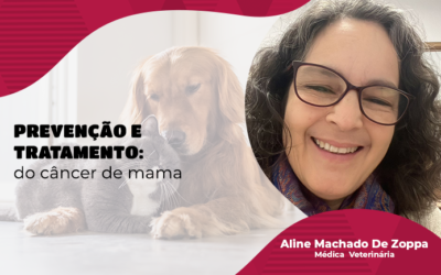 Prevenção e Tratamento do Câncer de Mama