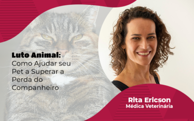 Comportamento: como ajudar o pet a lidar com o dia a dia após a perda de um companheiro?