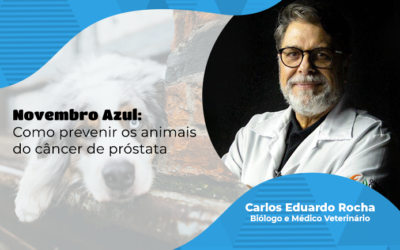 Novembro Azul: como prevenir os animais do câncer de próstata