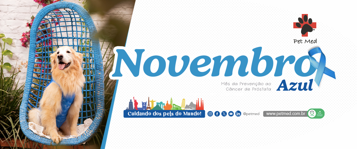 Novembro Azul Pet Med