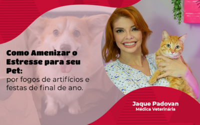 Saúde: saiba como fazer um planejamento para amenizar o estresse de cães e gatos devido ao barulho dos fogos de artifícios e festas de final de ano.