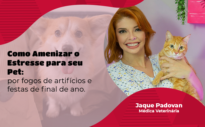 Fogos de Artifício e Pets: Dicas para um Fim de Ano sem Estresse