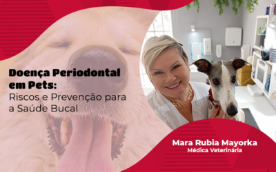 Odontologia: quais são os riscos da doença periodontal para a saúde de cães e gatos?