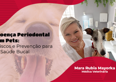 Doença Periodontal em Pets: Riscos e Prevenção para a Saúde Bucal