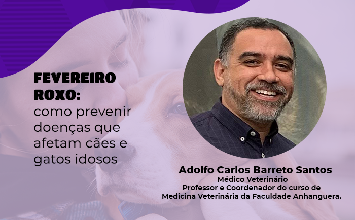 FEVEREIRO ROXO: como prevenir doenças que afetam cães e gatos idosos