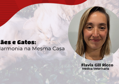 Cães e Gatos: Harmonia na Mesma Casa