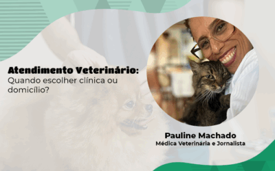Atendimento veterinário: quando escolher clínica ou domicílio?
