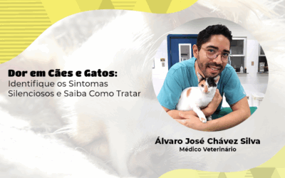 Como identificar que cães e gatos estão com dor e como tratá-la