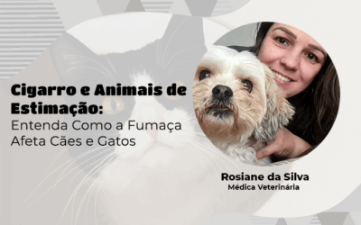 Dia Mundial Sem Tabaco – Como a fumaça do cigarro impacta a qualidade de vida e a saúde dos cães e gatos