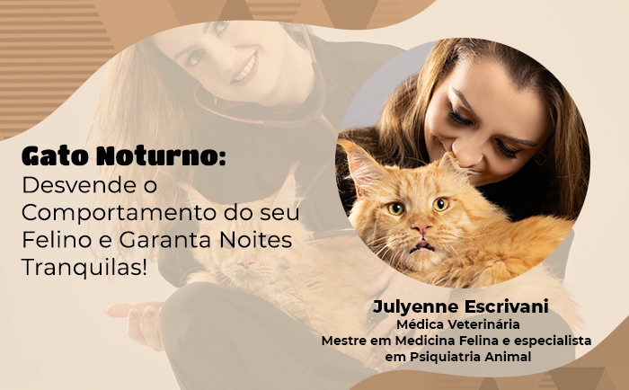 Hiperatividade noturna felina: causas e terapêuticas para uma vida saudável