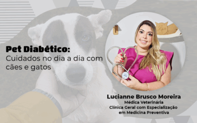 Cuidados no dia a dia com cães e gatos diabéticos
