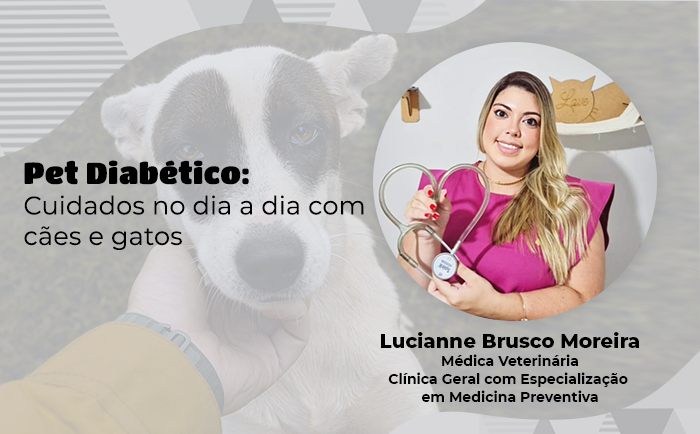 Cuidados no dia a dia com cães e gatos diabéticos