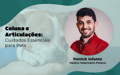 Cuidado diário com pets com problemas de coluna ou articulações