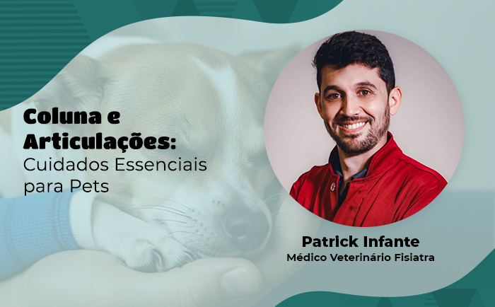 Pets com Dor na Coluna/Articulações: Cuidados Essenciais e Acessórios