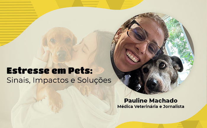 Como minimizar o estresse em cães e gatos no dia a dia