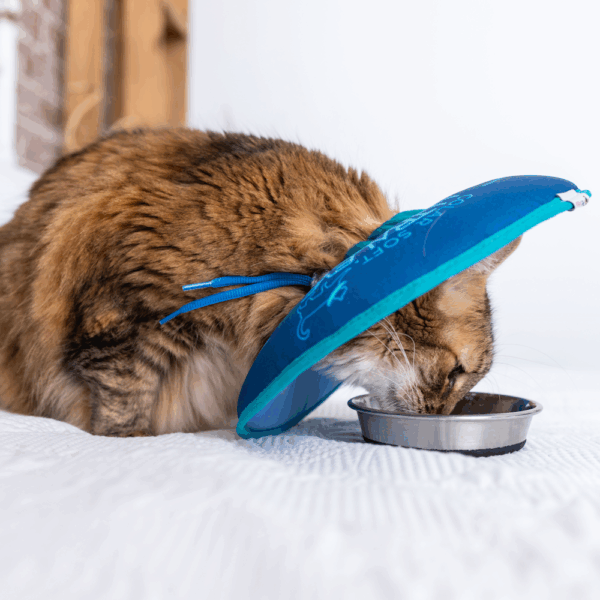 Colar Soft Ultraleve para Gatos - Image 3