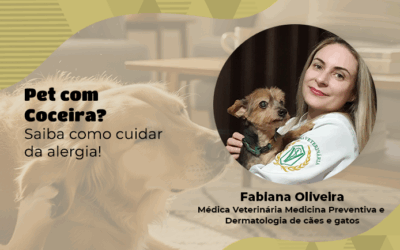 Coçar não é normal: como identificar, cuidar e proteger os pets com alergias?