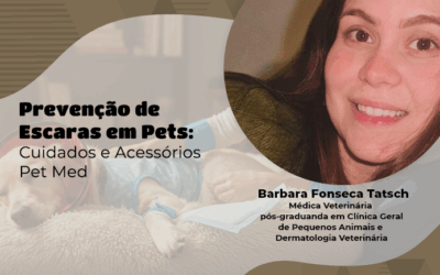 Qualidade de vida: como evitar escaras e feridas em pets acamados com o apoio de acessórios médicos