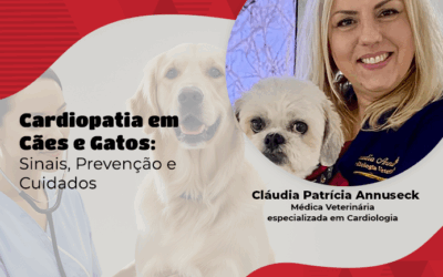 Cardiopatias silenciosas – como identificá-las e tratá-las?