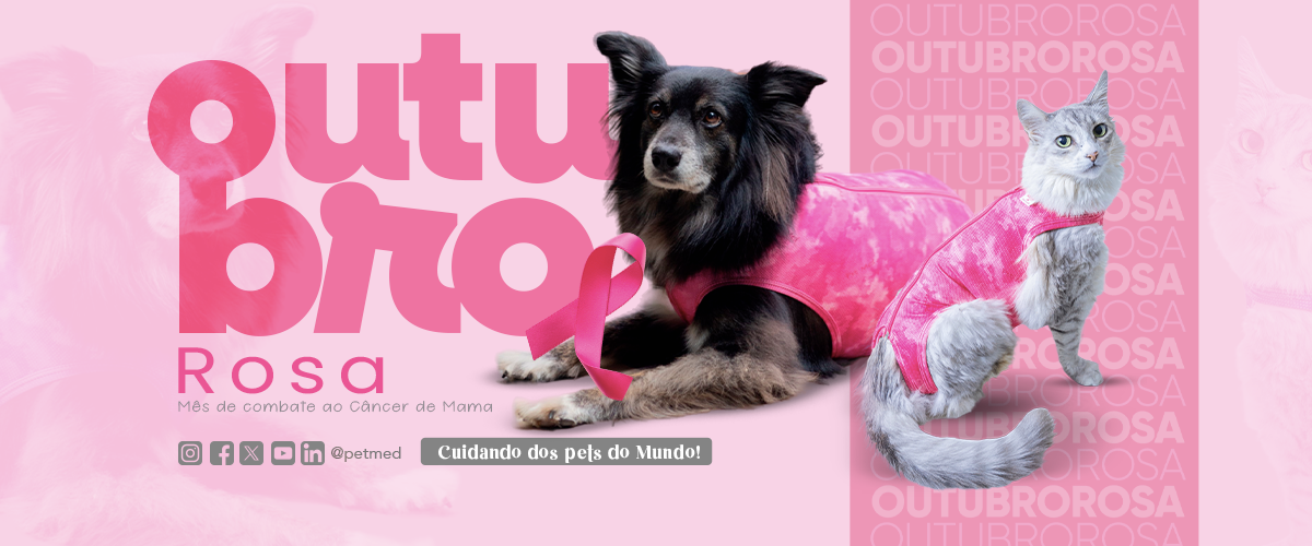 Novembro Azul Pet Med Novembro Azul Pet Med